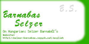 barnabas selzer business card